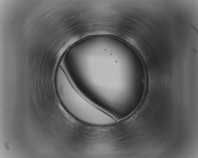X0000103421181200809191630