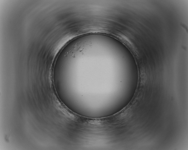 X0000103421182200809191630