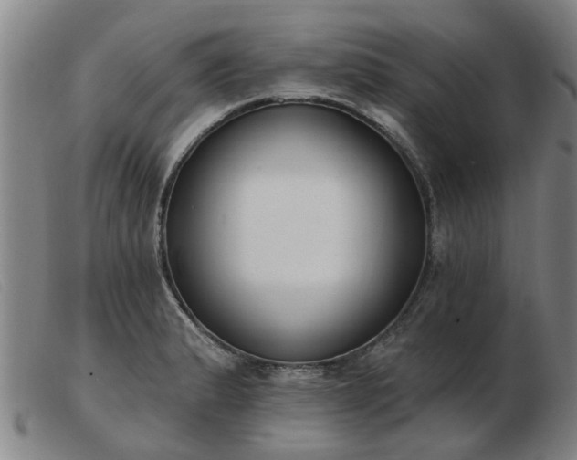 X0000103421183200809191630