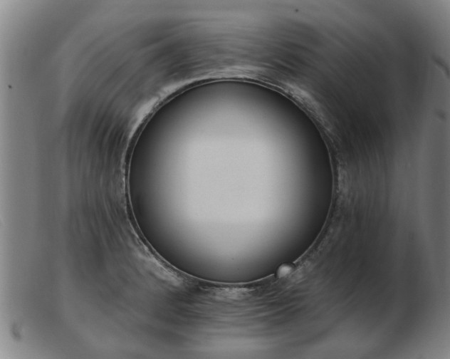 X0000103421184200809191630