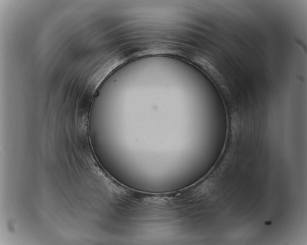 X0000103421185200809191630