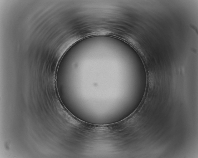 X0000103421186200809191630