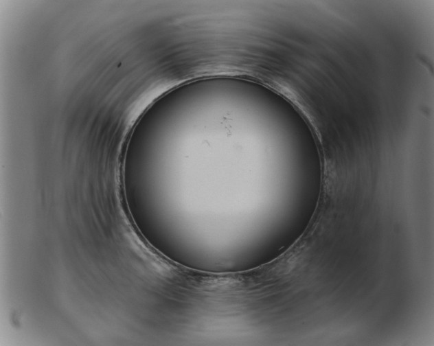 X0000103421187200809191630