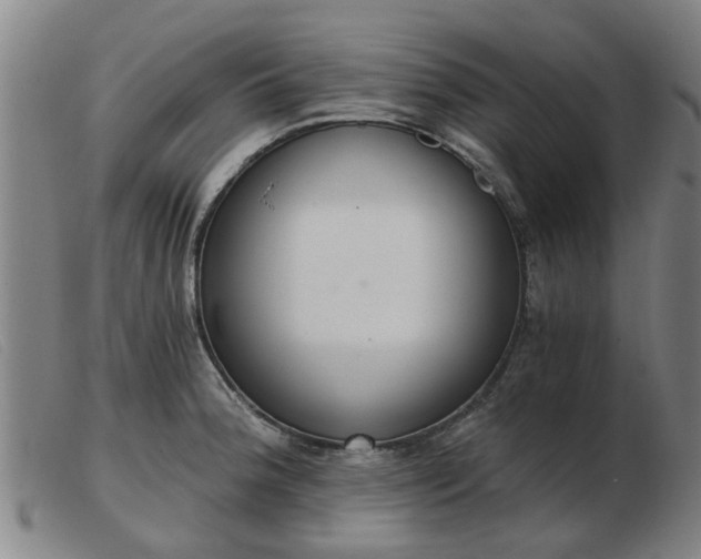 X0000103421188200809191630