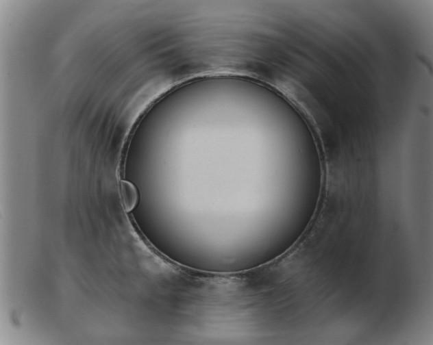 X0000103421189200809191630