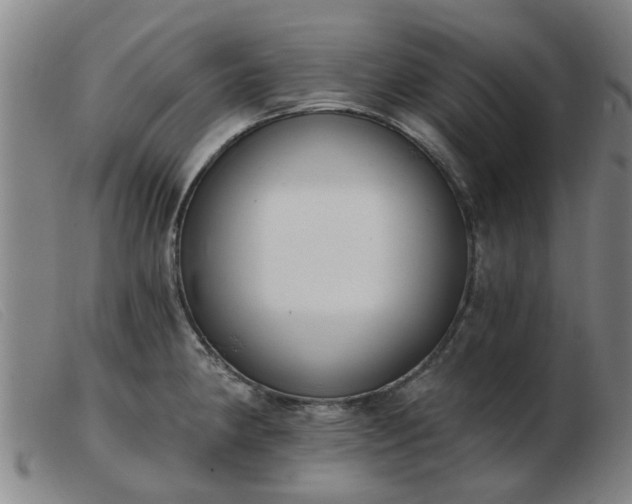 X0000103421190200809191630