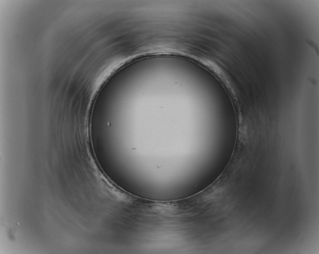 X0000103421191200809191630