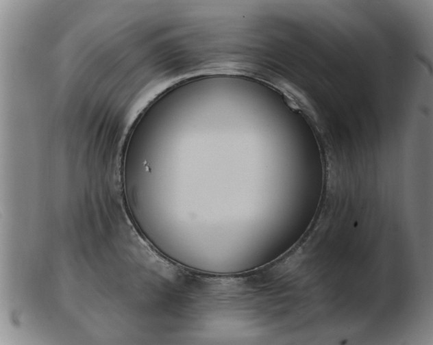 X0000103421192200809191630