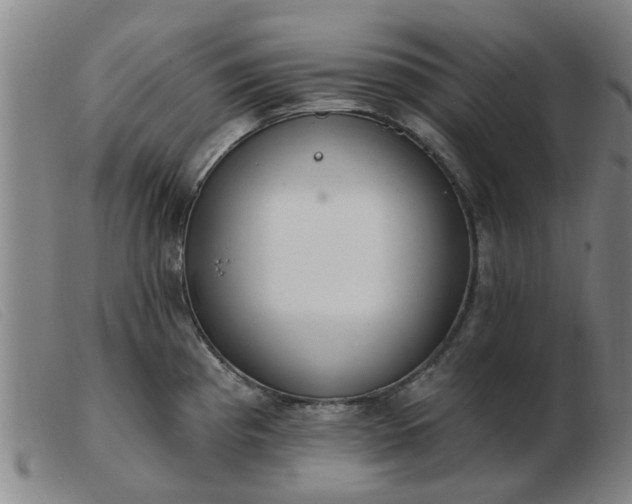 X0000103421193200809191630