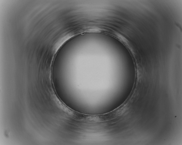 X0000103421194200809191630