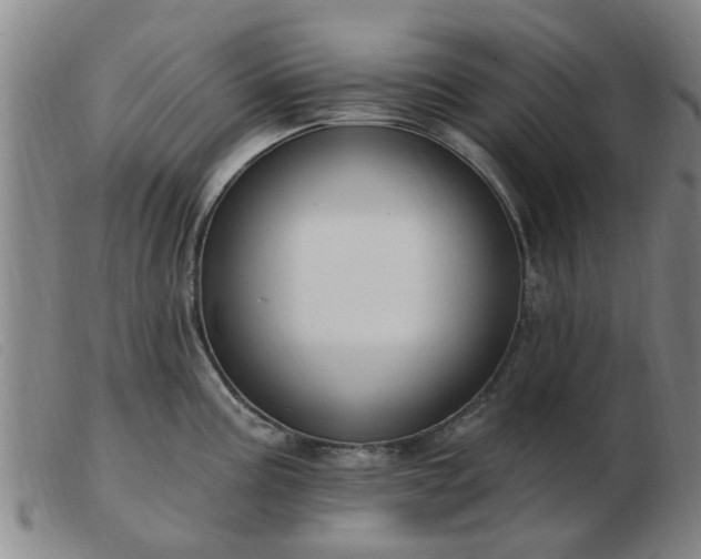 X0000103421195200809191630
