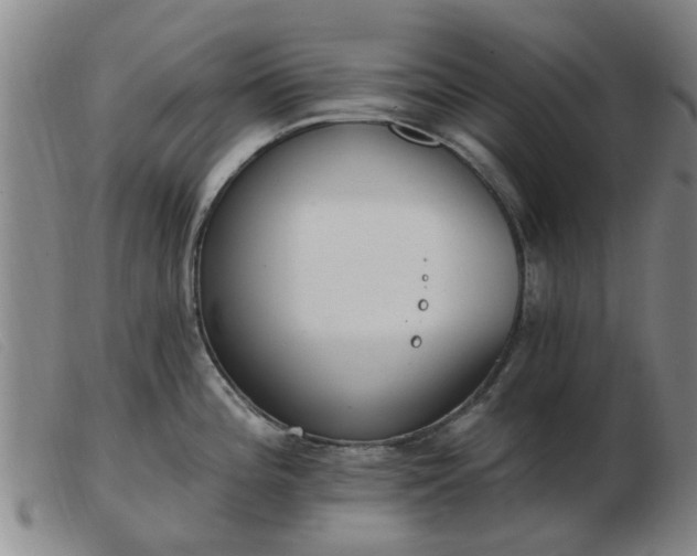 X0000103421196200809191630