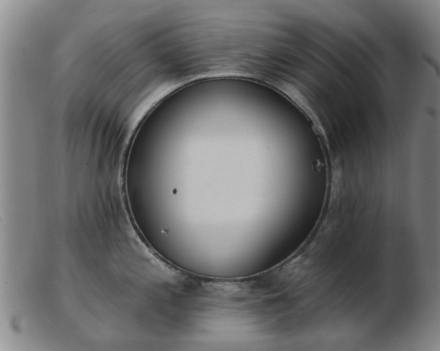 X0000103421197200809191630