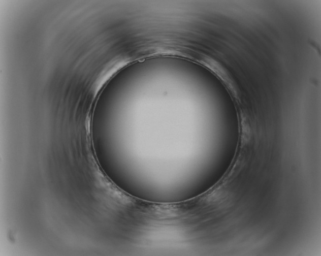 X0000103421198200809191630