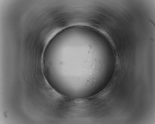 X0000103421199200809191630