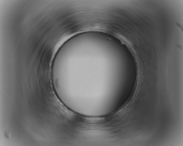 X0000103421200200809191630