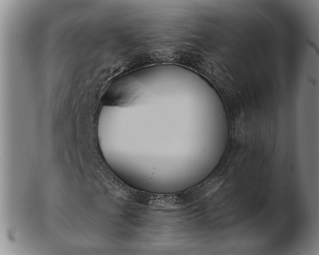 X0000103421201200809191629