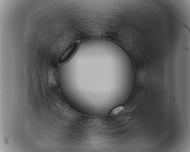 X0000103421202200809191629