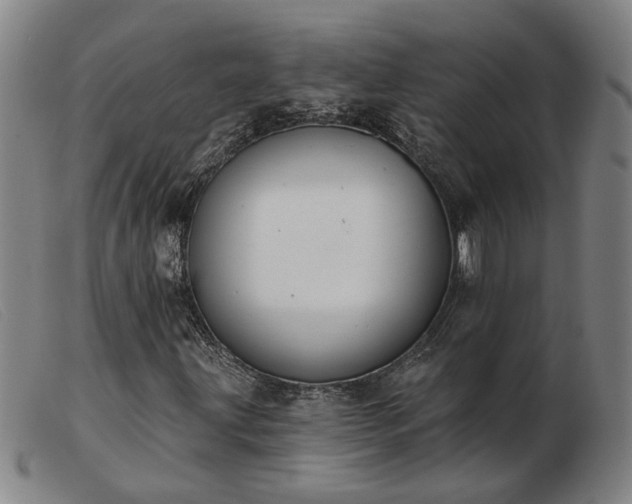 X0000103421203200809191629