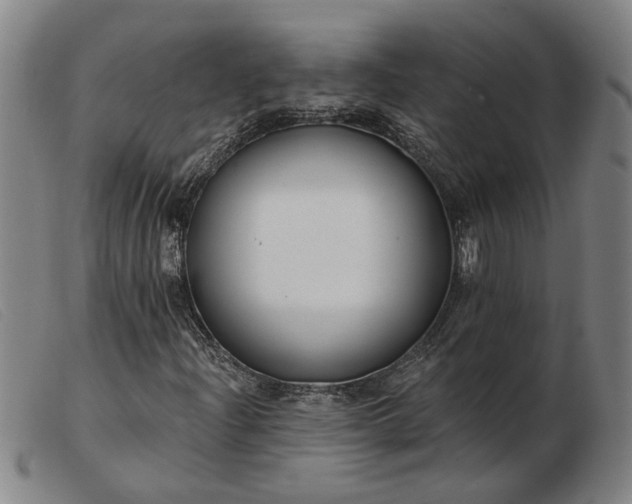 X0000103421204200809191629
