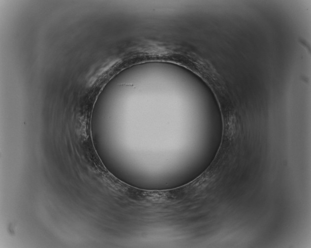 X0000103421205200809191629