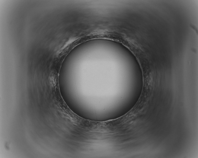 X0000103421206200809191629