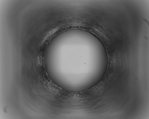 X0000103421207200809191629