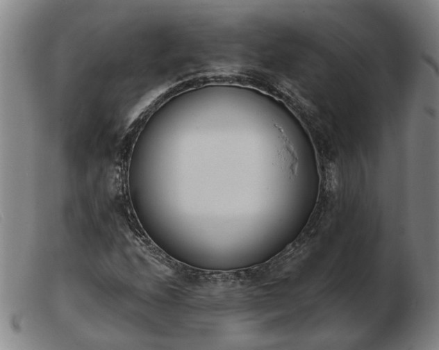 X0000103421208200809191629