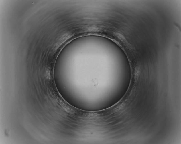 X0000103421209200809191629