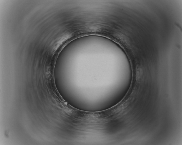 X0000103421210200809191629
