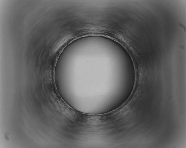 X0000103421211200809191629