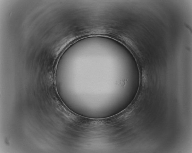 X0000103421212200809191629