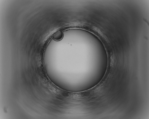 X0000103421213200809191629