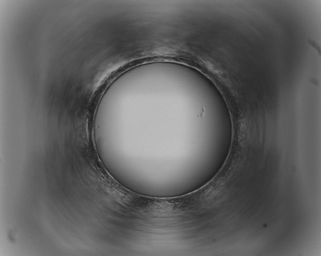 X0000103421214200809191629