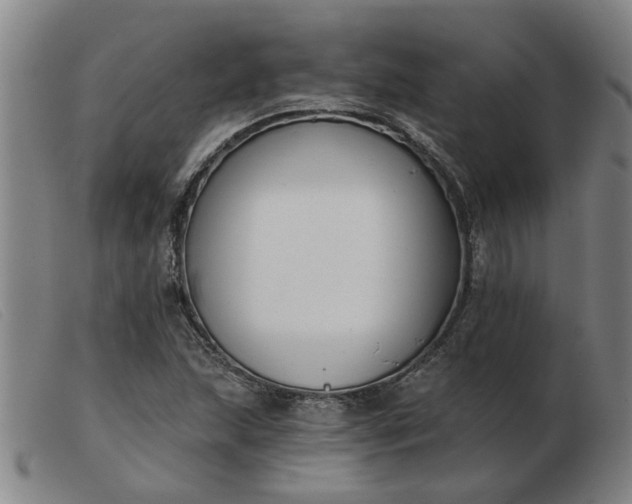 X0000103421215200809191629
