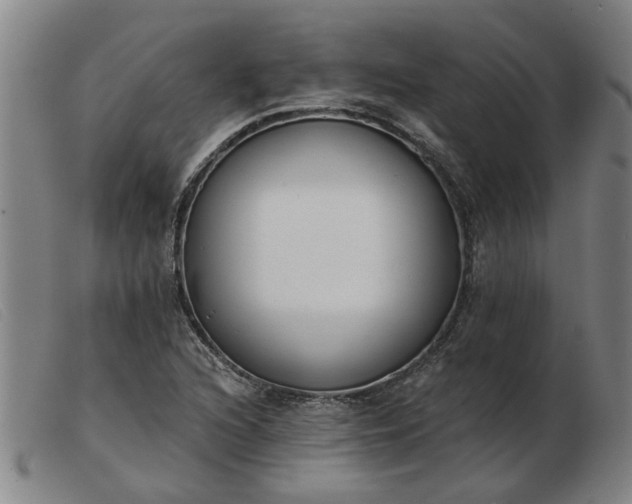 X0000103421216200809191629