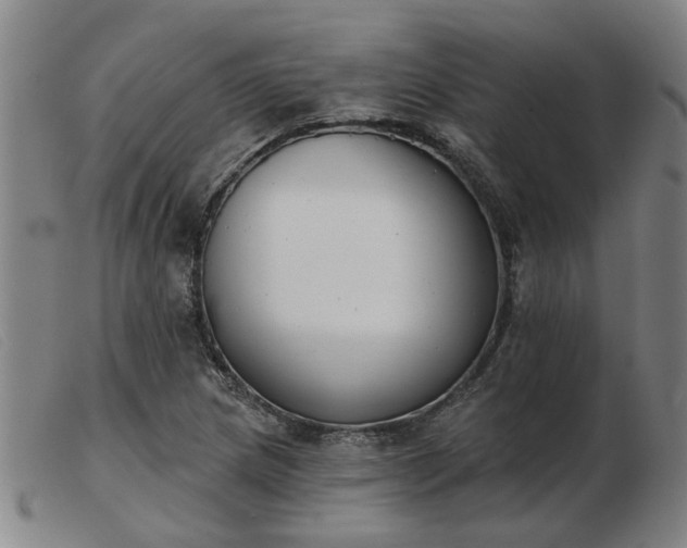 X0000103421217200809191630