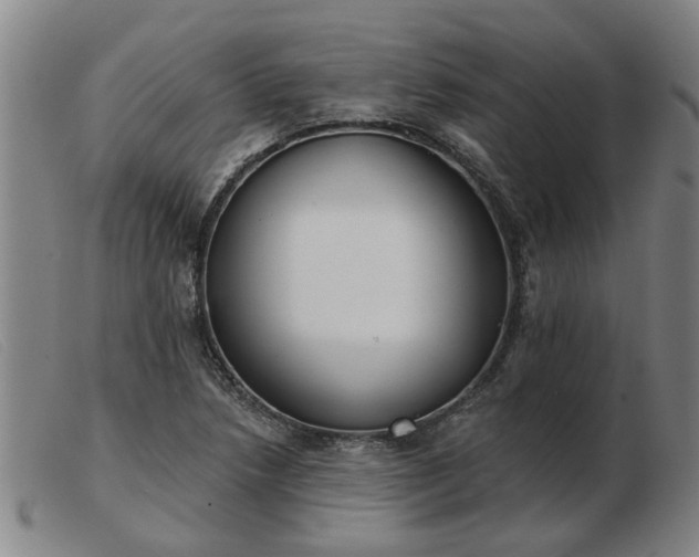 X0000103421218200809191630