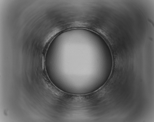 X0000103421219200809191630