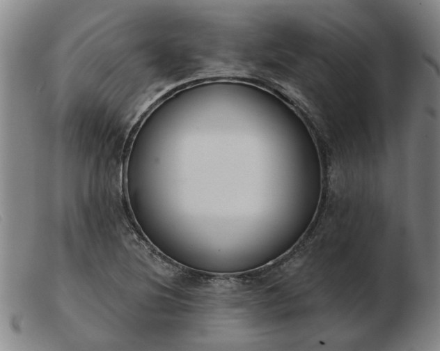 X0000103421220200809191630