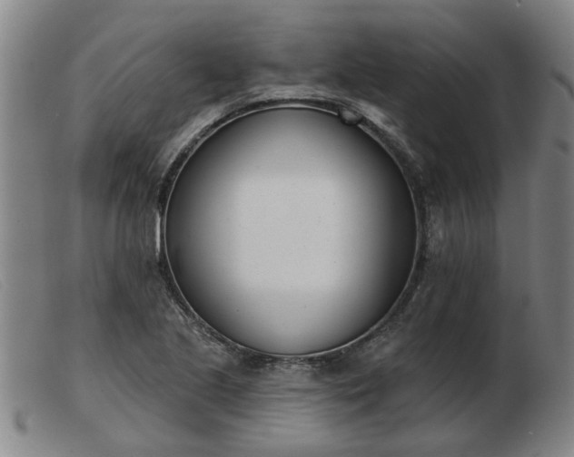 X0000103421221200809191630
