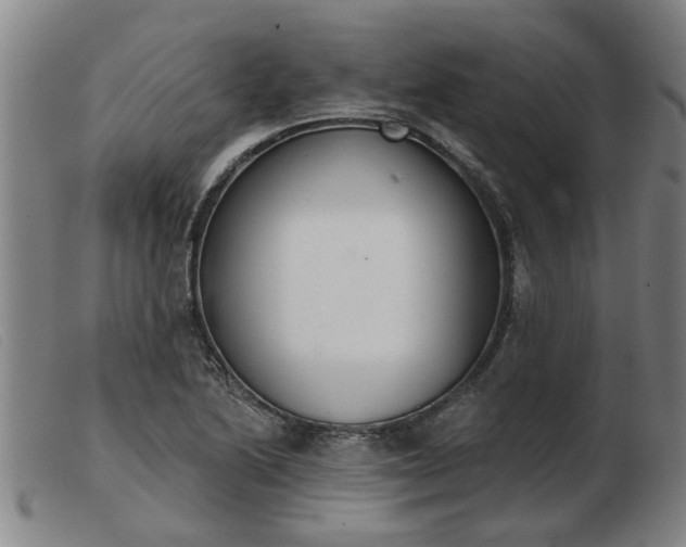X0000103421222200809191630
