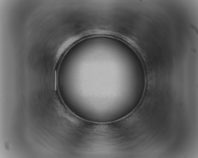 X0000103421223200809191630