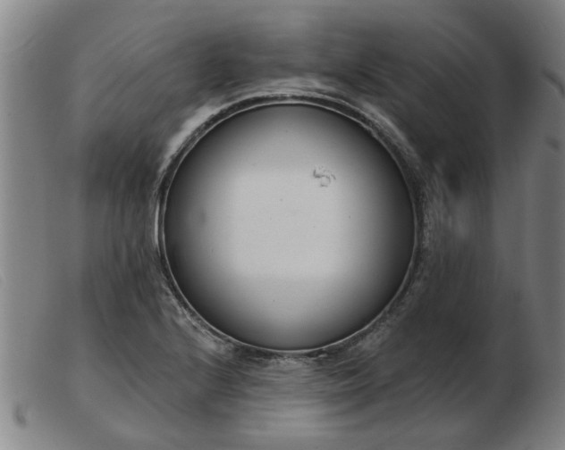 X0000103421224200809191630