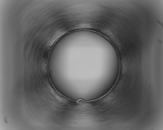 X0000103421225200809191630