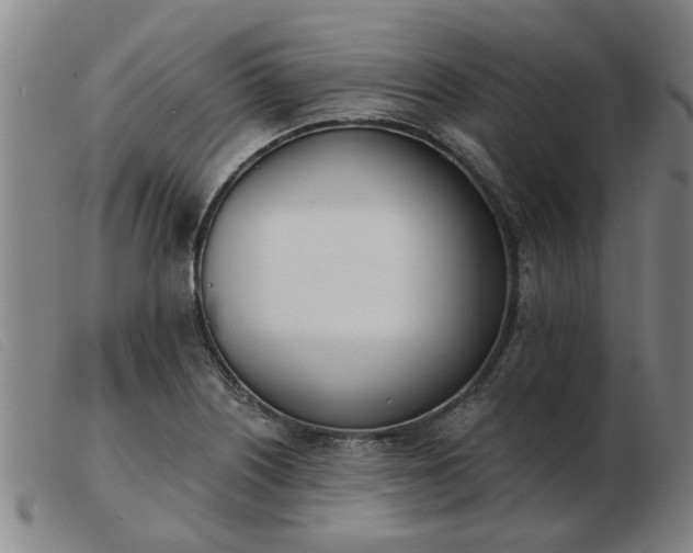 X0000103421226200809191630