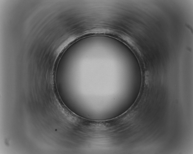 X0000103421229200809191630