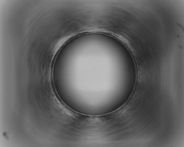 X0000103421231200809191630