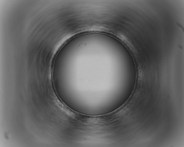 X0000103421232200809191630