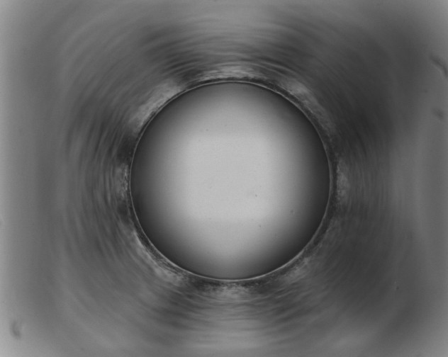 X0000103421233200809191630